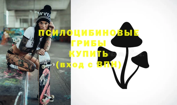 PSILOCYBIN Богородск