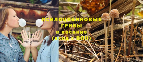 Альфа ПВП Балабаново