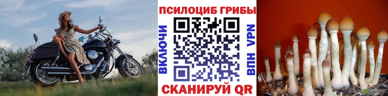 Галлюциногенные грибы прущие грибы  цена   mega как войти  Озёрск 